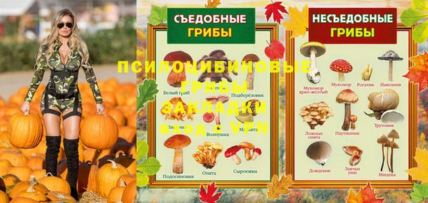 a pvp Заволжск