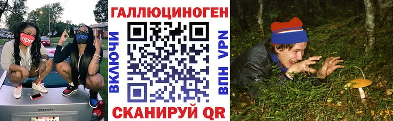 Галлюциногенные грибы Psilocybine cubensis  Тихорецк 